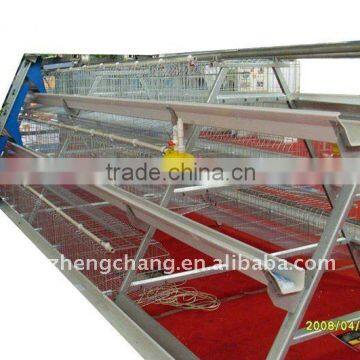 Chicken Breeding