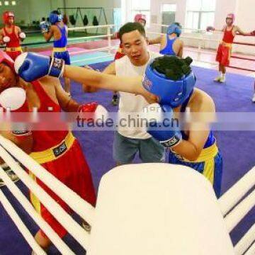 4.2m x 4.2m x 1m boxing equipment boxing ring