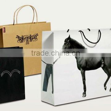 paper bag promotion paper packaging bag apparel bag perfume bag paper carry bag paper shopping bag