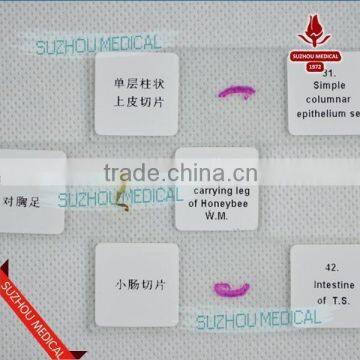 50pieces Set Primary School Study Zoology and Botany Mixed Biology Slides photo-4