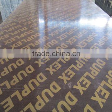 18mm Film faced plywood with logo-shuttering plywood 1220*2440 1250*2500