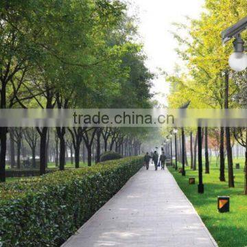 All in One Led Solar Street Lights