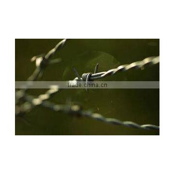 Variety Size Wire Barbed Razor Security Fences Gavanized