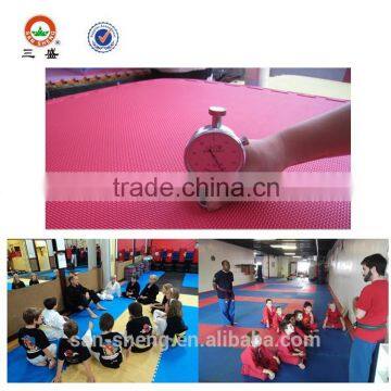3.0cm Gym Mat  Judo Mat Taekwondo Mat photo-2