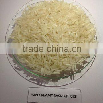 1509 basmati rice