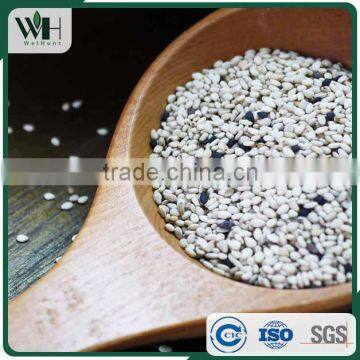 99.1 Machine Clean Gujarat Origin White Sesame photo-2