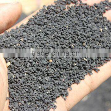 Black Cumin Seed 2015