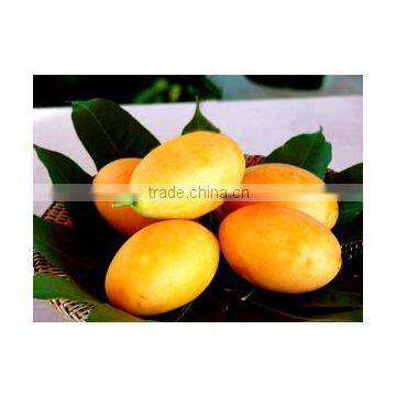 Anwar Ratole Mango