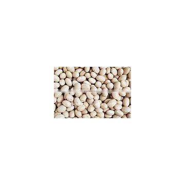 dried white beans 2011