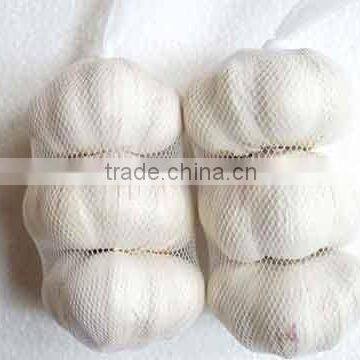 white garlic in 3pcs/500g/1kg mesh bag