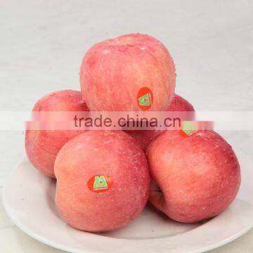 Fresh Fuji Apple photo-3