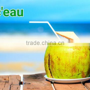 Natural Young Coconut Water Juice photo-3