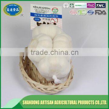 Fresh White Garlic Export Company photo-4