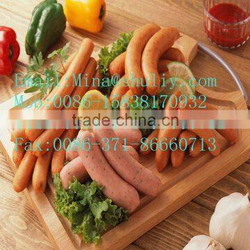 Stainless Steel Sausage Filler Machine/Enema Filling Machine With Stainless Steel Material photo-2