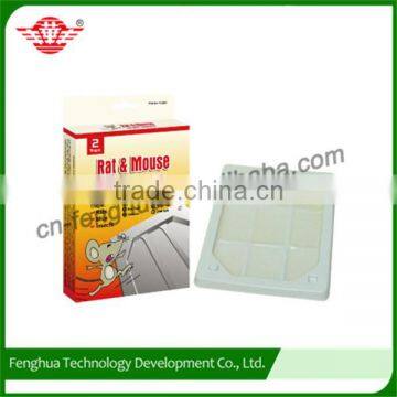Customized Logo Printing Rat Glue Traps