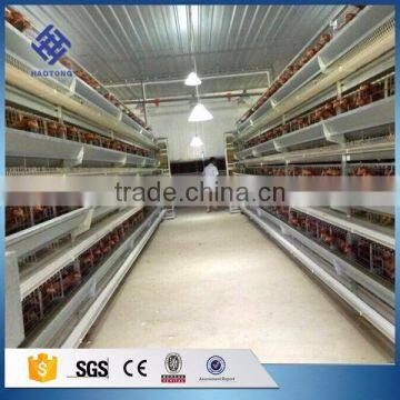 30 Years' Factory Supply Automatic Egg Chicken Cages photo-4