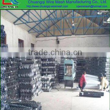 Complete in specifications stretch customized chicken netting