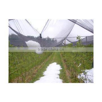 Apple tree anti hail net Hail Guard Net