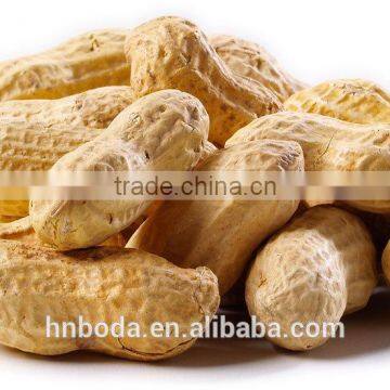 Cashew Nut Hot Air Machinery photo-5