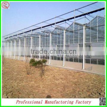 Large Muti-span Polycarbonate Sheet Greenhouse for Tomatos photo-4