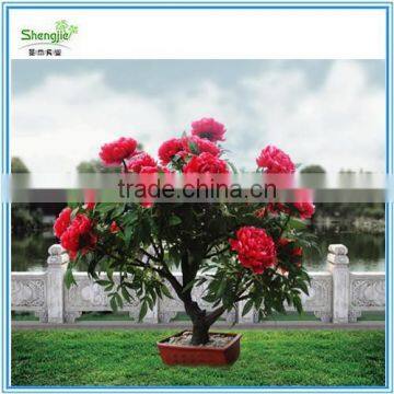 Artificial Pulm Led Flower Bonsai Tree photo-2