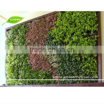 GNW GLW039 home & garden greenwall foundation plants for vertical gardens indoor use