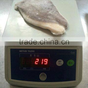 Frozen John Dory Fillet (Zeus Faber)