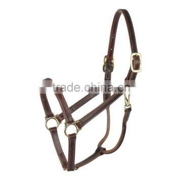 Top Quality leather halter for horse
