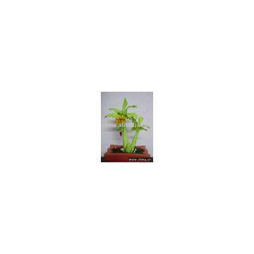 Banana Tree From Polymer Clay