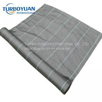 Black Color 90gsm pp Woven Ground Cover Sheet for Sale photo-2
