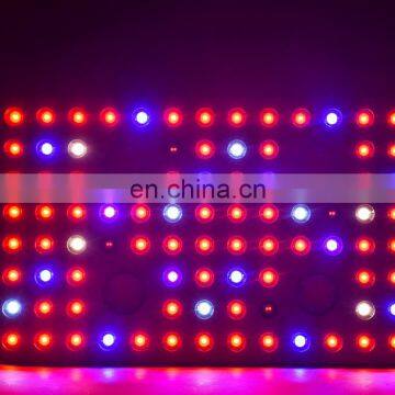 2000W COB Dimmable LED Grow Light Full Spectrum LED Growing Lamp Indoor Plant Growth Lighting photo-6