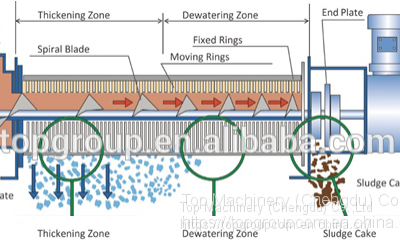 TPDL Volute Screw Sludge Dewatering Machine photo-2