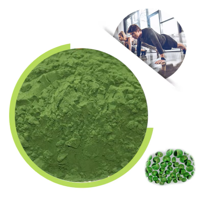 China Supplier Supply Organic Chlorella Vulgaris Powder For Human Healthcare