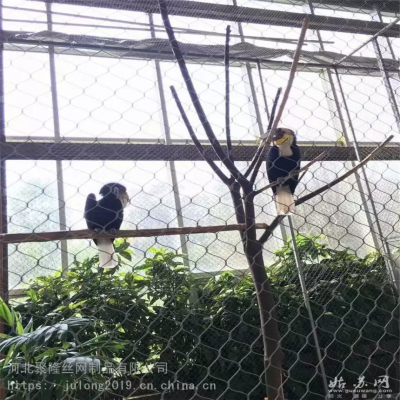 Stainless Steel Woven Wire Rope Mesh Green Wall Mesh Animal Enclosures Mesh Safety Net Bird Cage Mesh