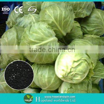 Leafy Crops Special Fertilizer-RSSC Organic Fertilizer photo-3