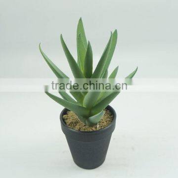 Factory Price New Design Artificial Succulent Plants For Sale