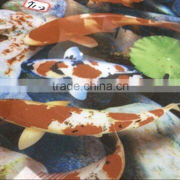 New Design Fashion Look Best Selling Wall and 3d Floor Tile Price photo-3