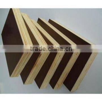 poplar core phenolic WBP glue construction shuttering plywood