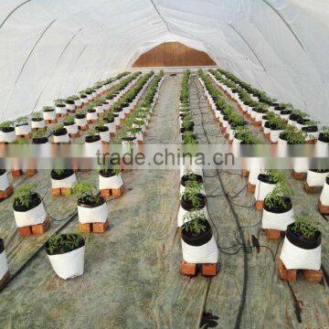 UV treated Hydroponic Plastic Grow Bags for Nurseries