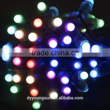 RGB 12mm High Brightness Led String Light photo-3