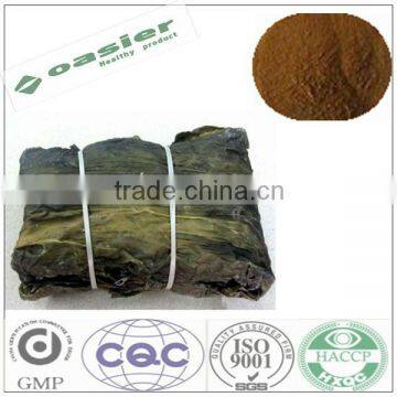 Natural GMP hot sale polysaccharide10% kelp extract price