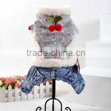 pet accessories