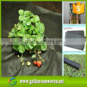 100% Biodegradable Floating Row Covers Offer Nonwoven Plant Protection