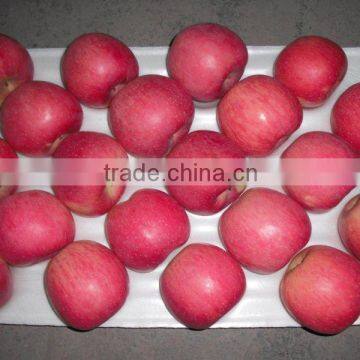 2015 new crop qinguan apple /fuji apple for sale