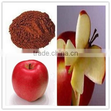 apple polyphenol 20%-80%