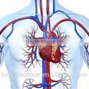 Newly Developed Lonlf-MOG003 Medical Ozone /ozone Therapy Machine/medical Ozonator