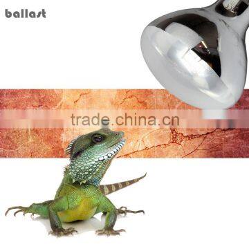 Wholesale Special Reptile Sunlight Lamp light reptile uvb                        
                                                Quality Choice