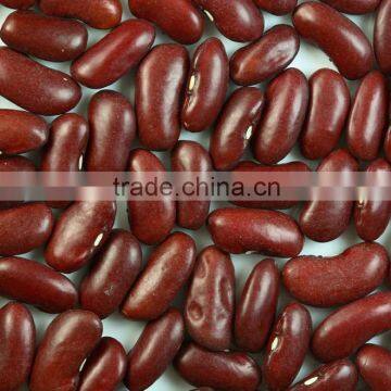 Red Kidney Bean