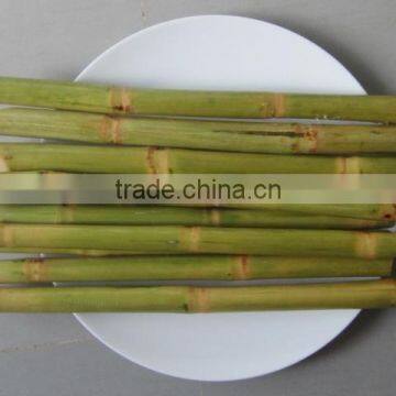 Frozen Sugarcane From VietNam QQ : 2598494113 photo-4