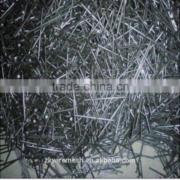 Common Coil Nail/common Nail Iron Nail Factory photo-5